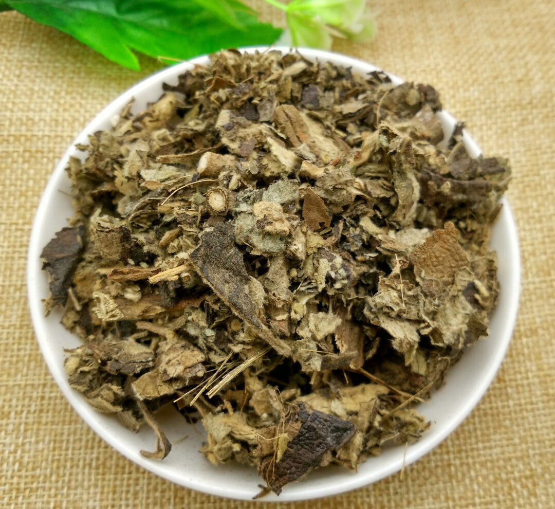 预知子