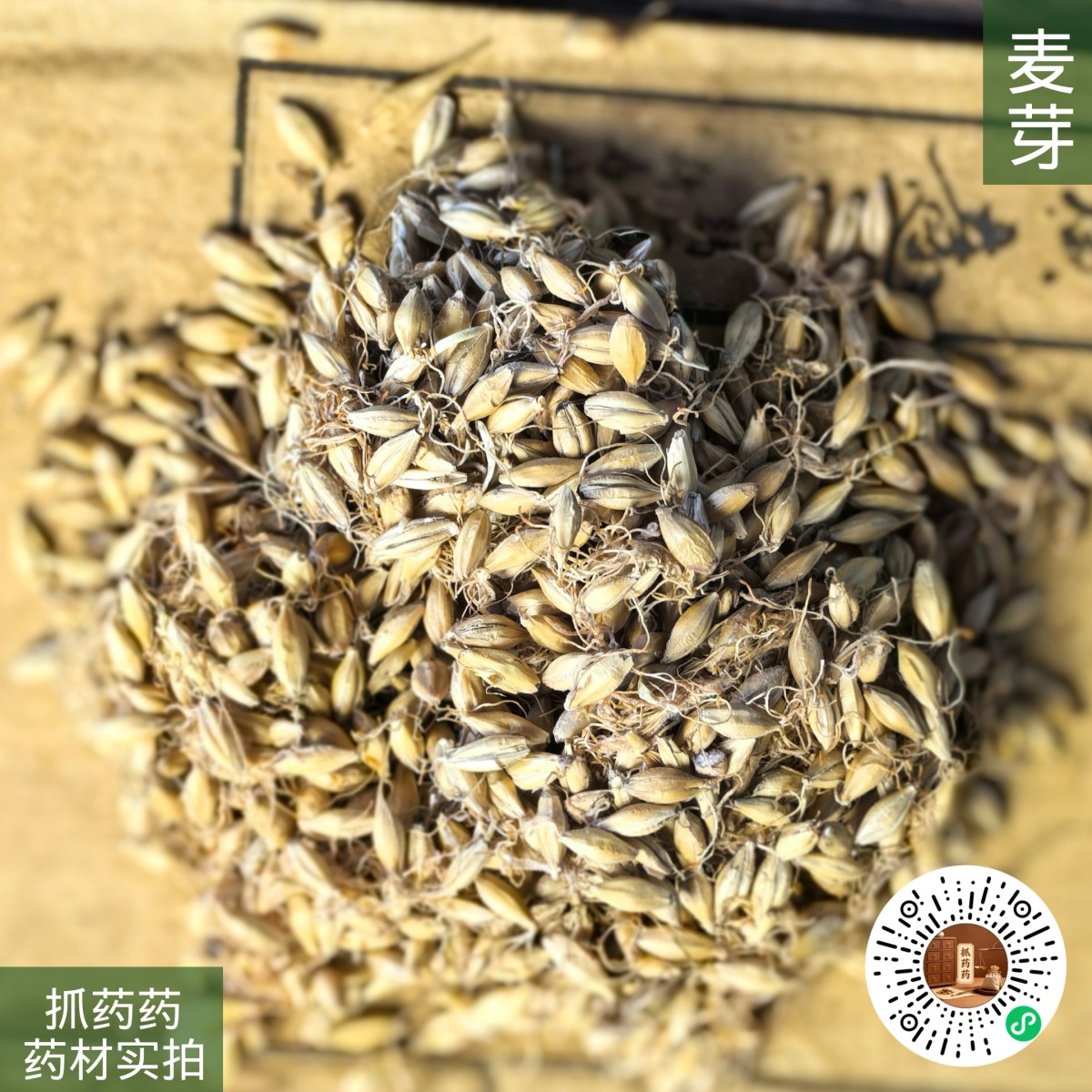 麦芽