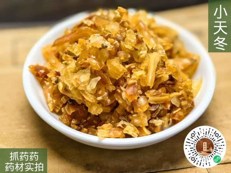 小天冬