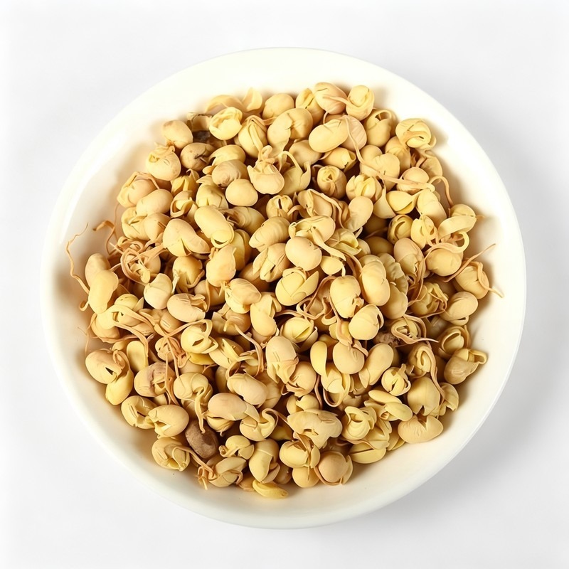 大豆黄卷