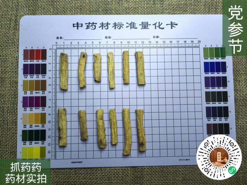 党参节