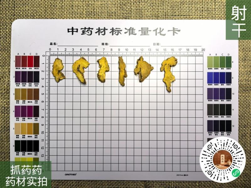 射干
