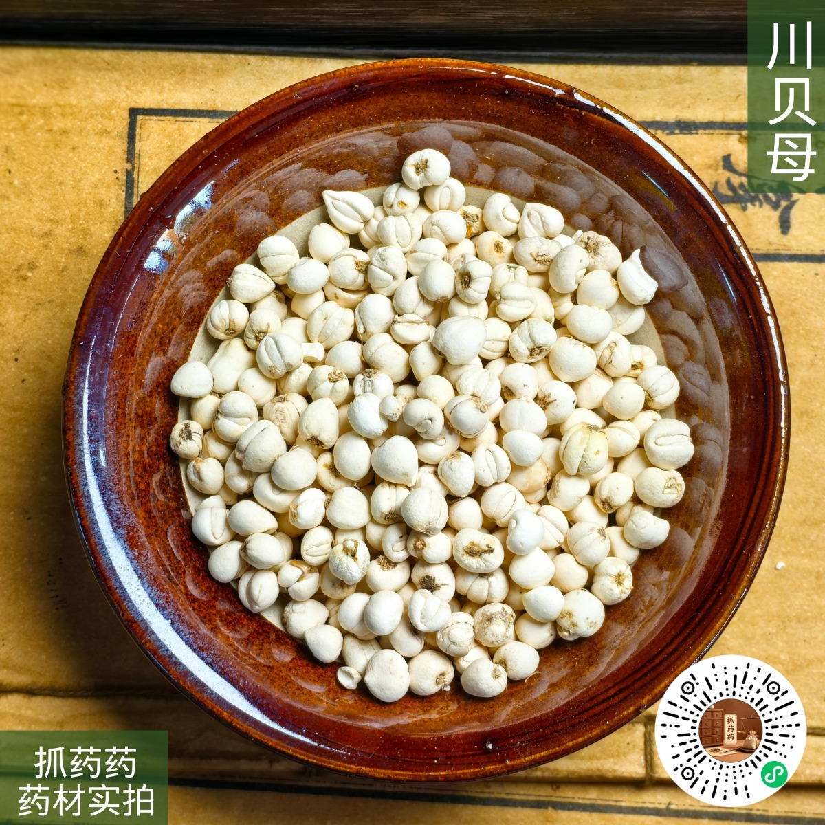 川贝母（松贝）