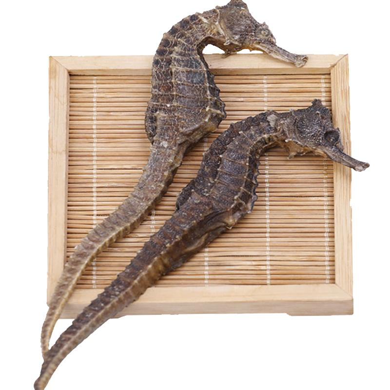 海马（公母配对）