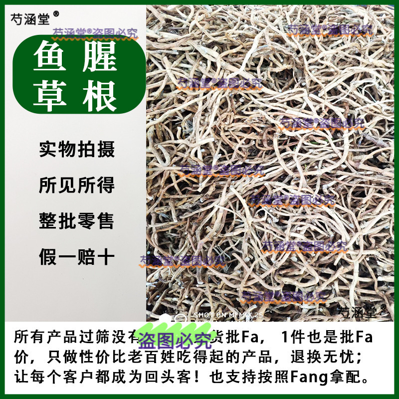 甜叶菊叶