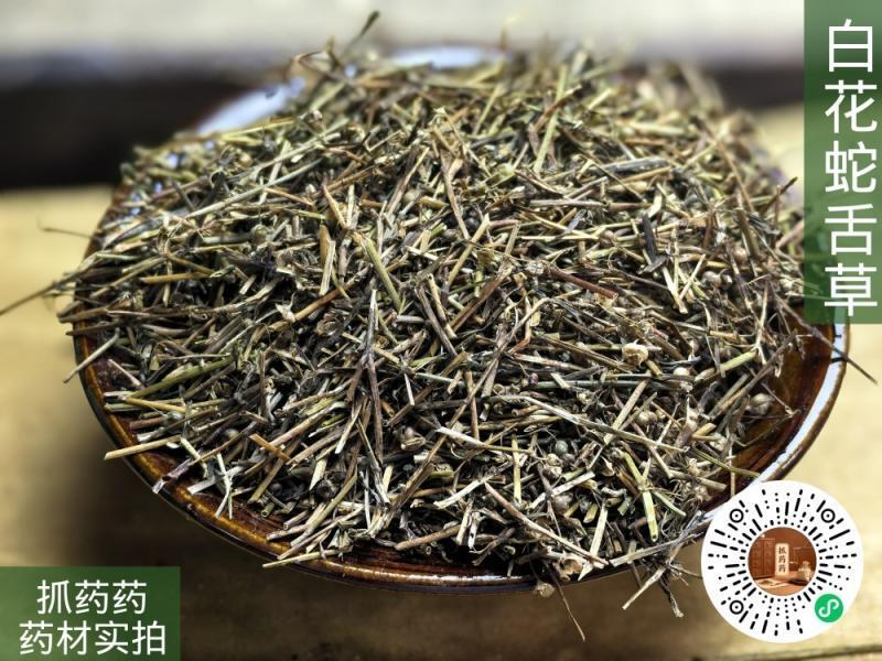 白花蛇舌草