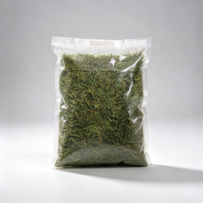 南方红豆杉