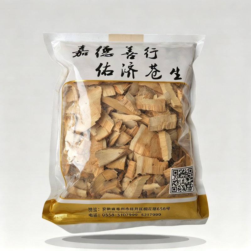 接骨木